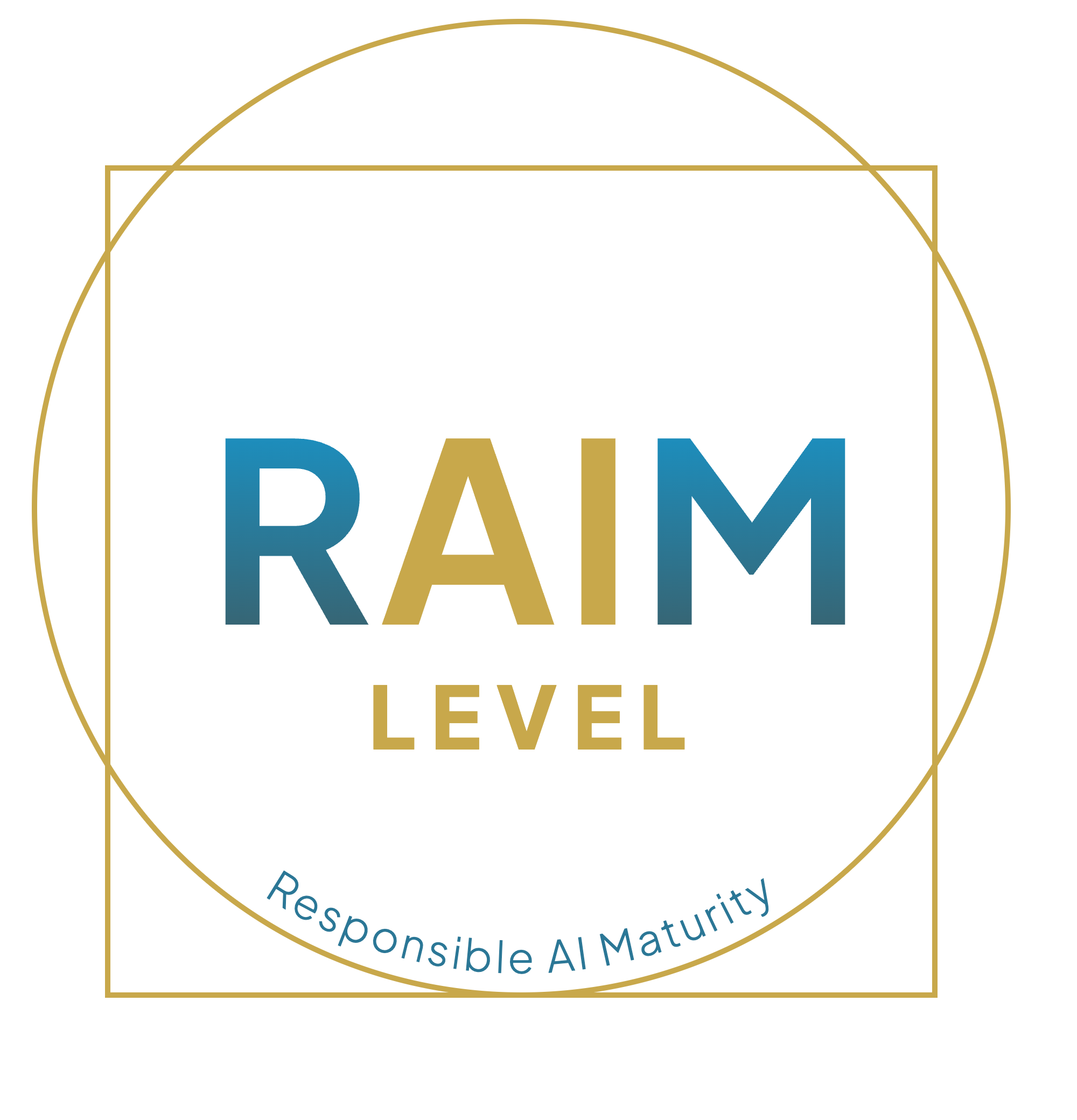 RAIM Level